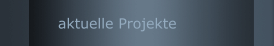 aktuelle Projekte